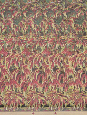  G̉񓚃y[WցI