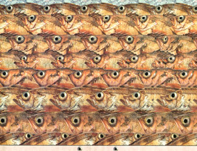 G̉񓚃y[WցI